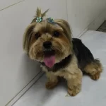 Finalizados - Galeria (10)